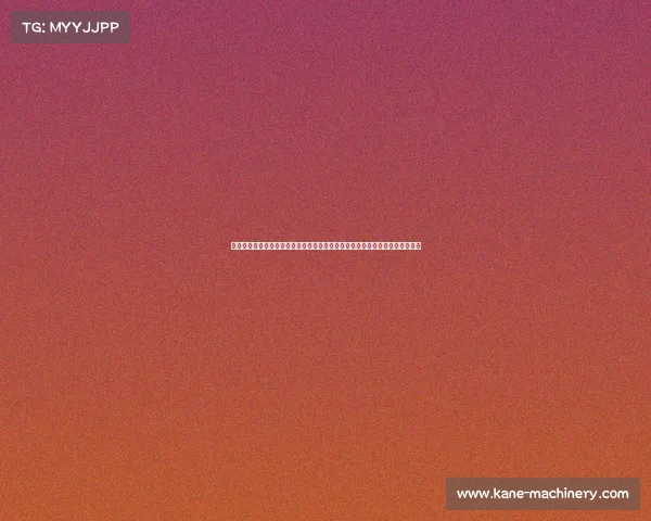 聚焦海口最新赛事热点：全面追踪近期足球篮球等比赛动态，领略城市体育风采