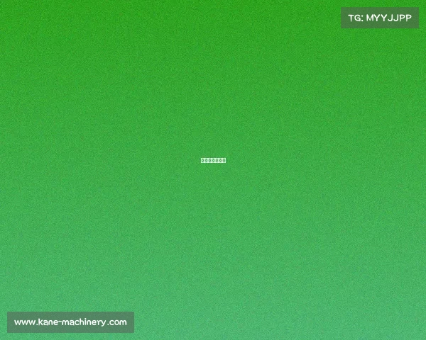 越野跑国际赛事